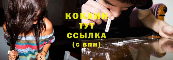 ешки Дмитриев