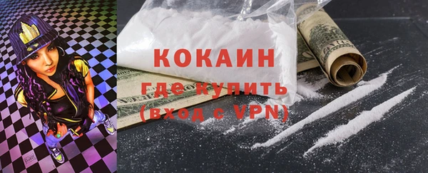 ешки Дмитриев