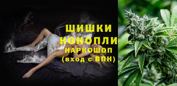 ешки Дмитриев