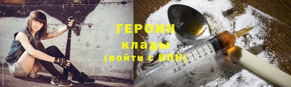 ешки Дмитриев