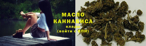 ешки Дмитриев